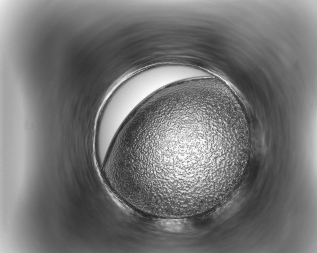 X0000085310853200703161450