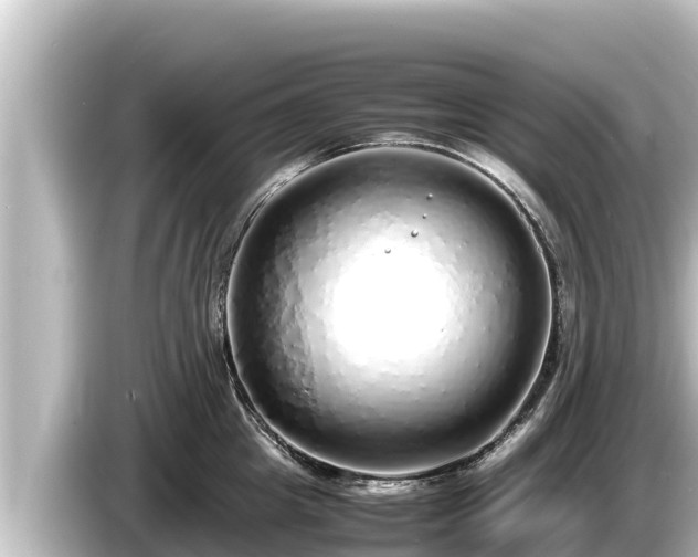 X0000085310857200703161450