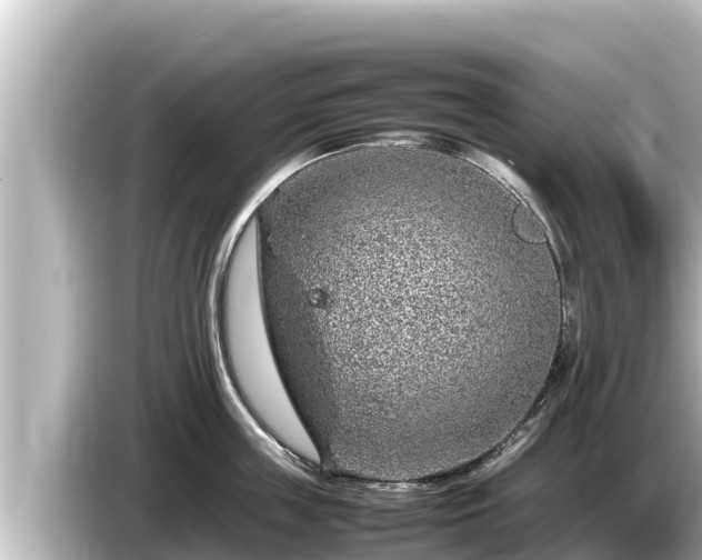 X0000085310859200703161450