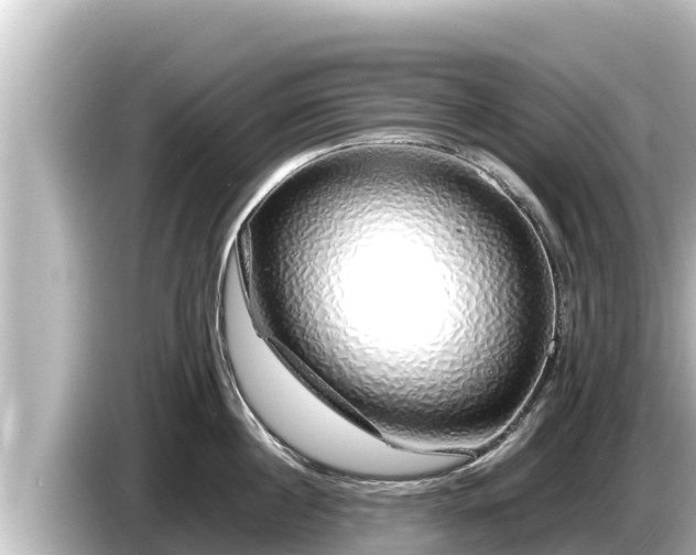 X0000085310860200703161451