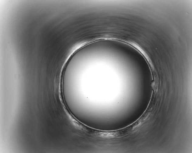 X0000085310861200703161451