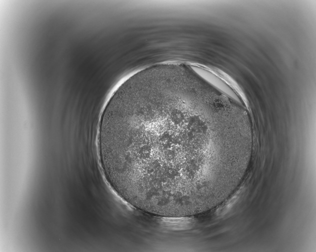 X0000085310863200703161451