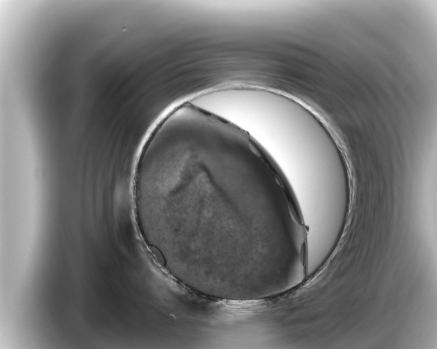 X0000085310864200703161451