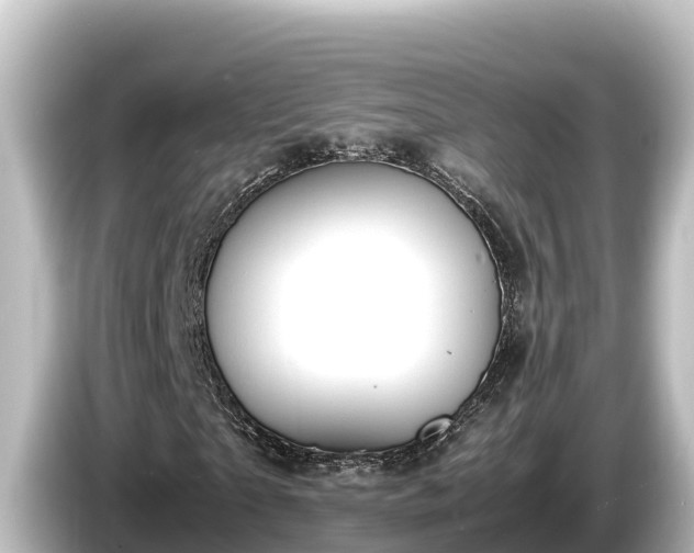 X0000085310865200703161450