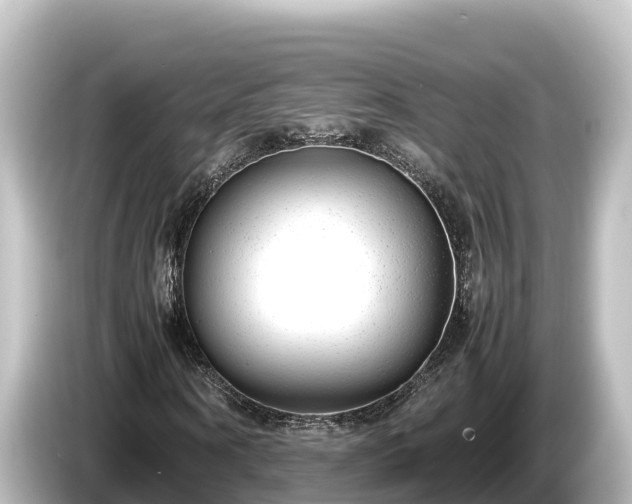 X0000085310866200703161450