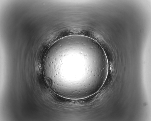 X0000085310867200703161450