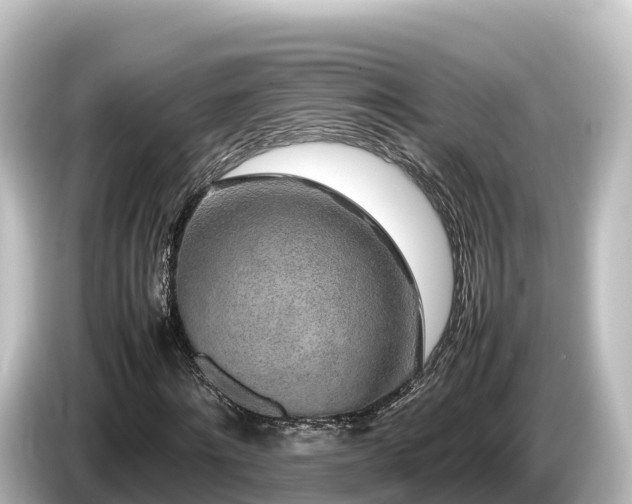 X0000085310868200703161450