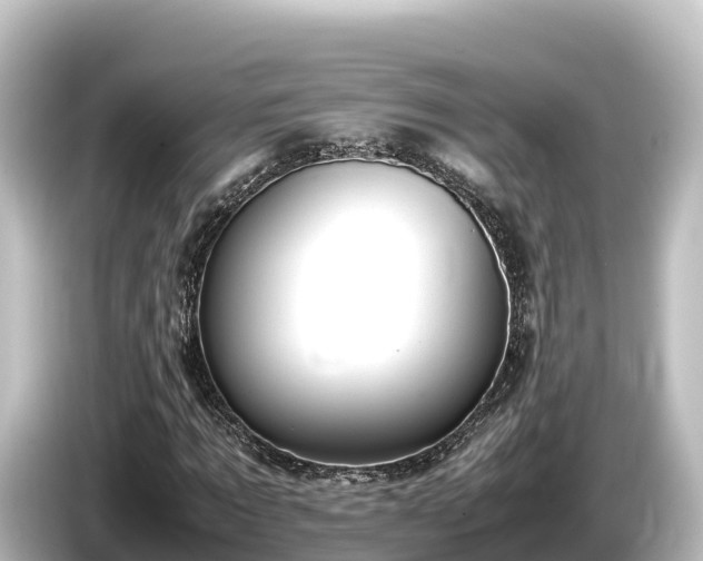 X0000085310869200703161450