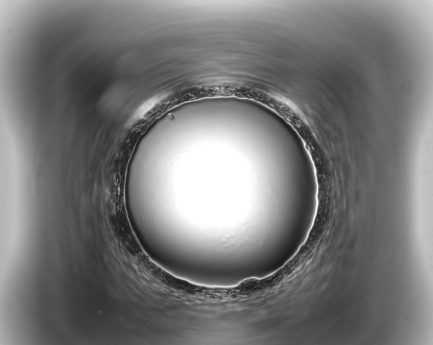 X0000085310871200703161450