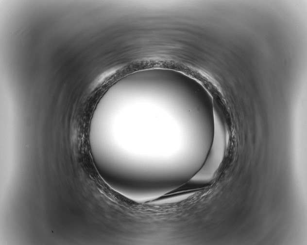 X0000085310872200703161450