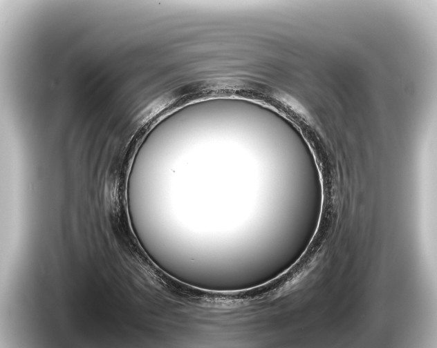 X0000085310873200703161450