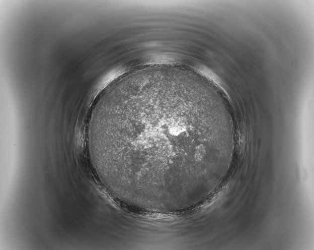 X0000085310874200703161450
