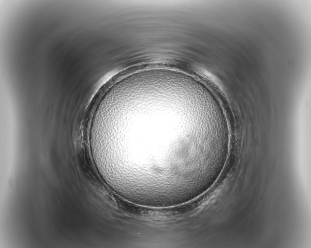 X0000085310875200703161450