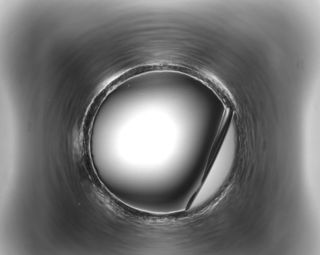 X0000085310876200703161450