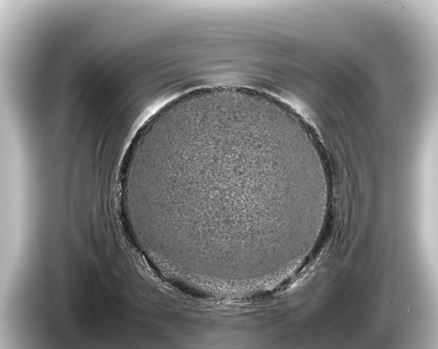 X0000085310879200703161450