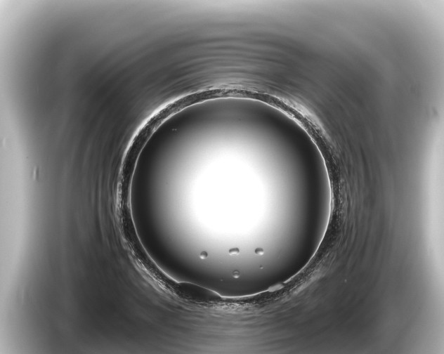 X0000085310880200703161450