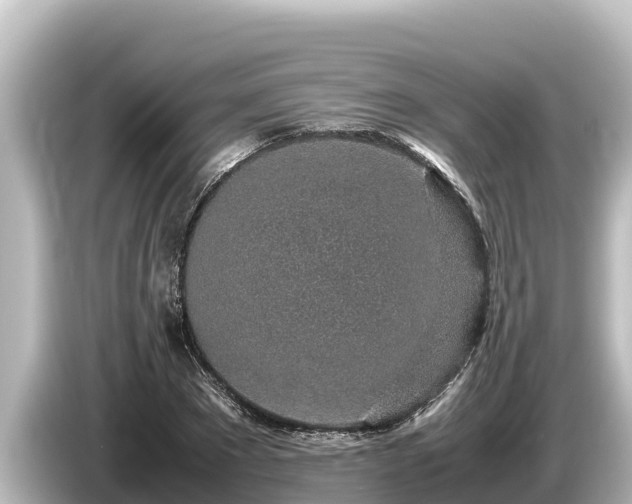 X0000085310881200703161450