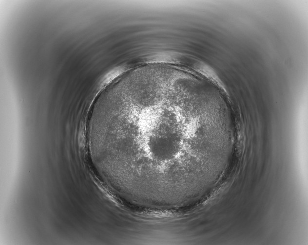 X0000085310882200703161450
