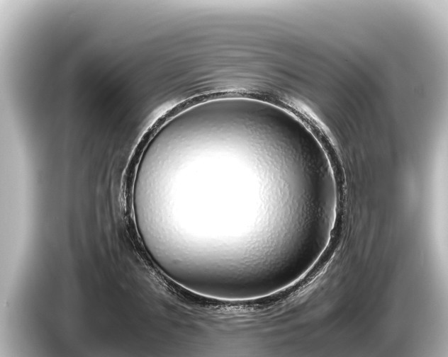 X0000085310883200703161450