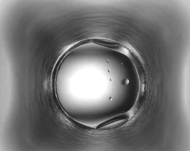 X0000085310884200703161450