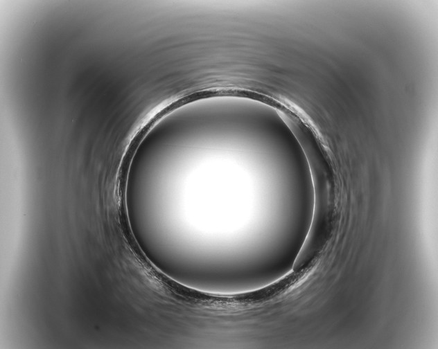 X0000085310885200703161450