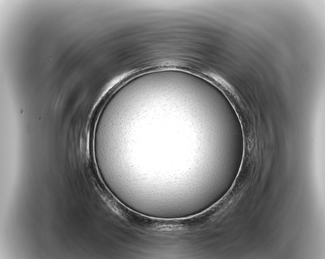 X0000085310886200703161450
