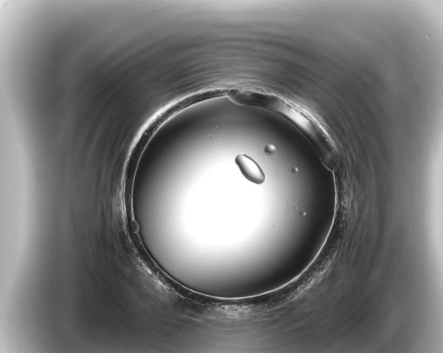 X0000085310888200703161450