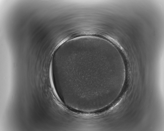 X0000085310889200703161450
