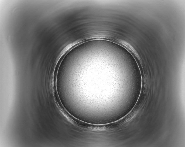 X0000085310890200703161450