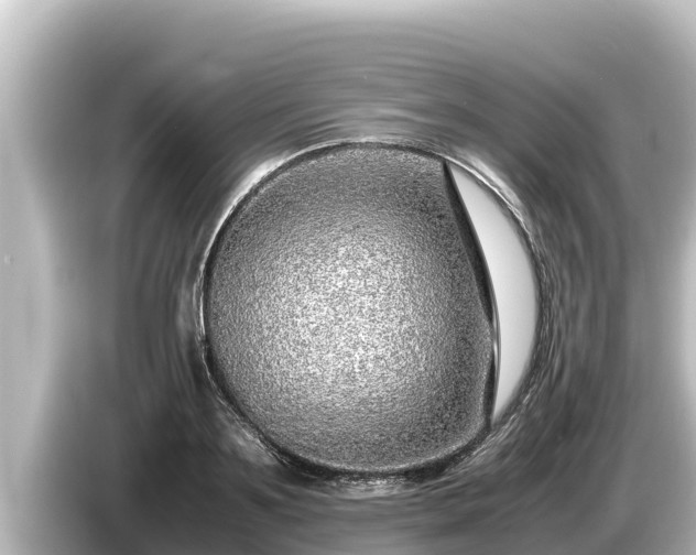 X0000085310891200703161450