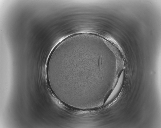 X0000085310892200703161450