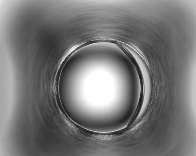 X0000085310893200703161450