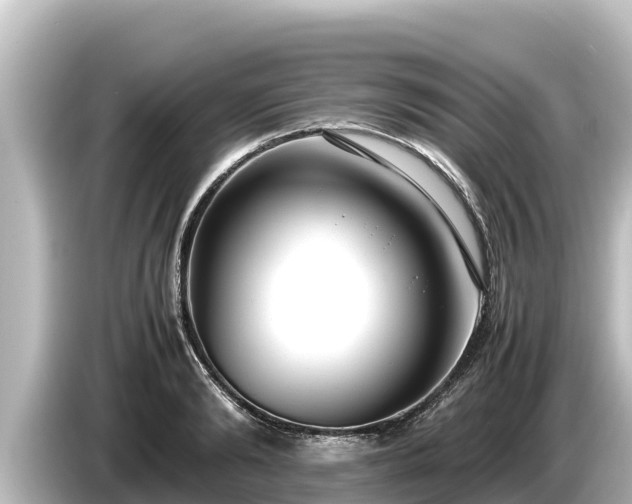 X0000085310894200703161450