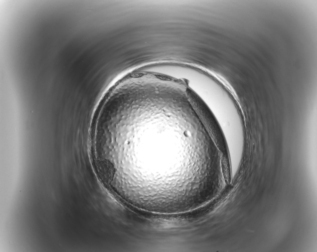 X0000085310895200703161450