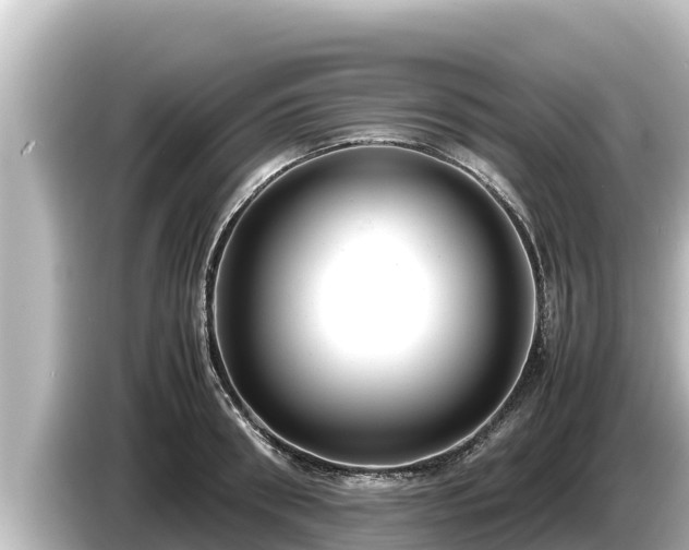 X0000085310898200703161450