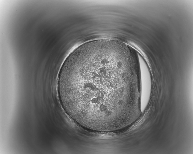 X0000085310899200703161450