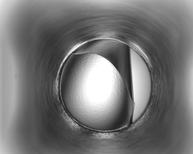 X0000085310900200703161450