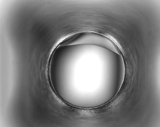 X0000085310901200703161450