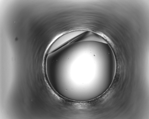 X0000085310902200703161450