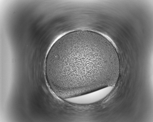 X0000085310903200703161450