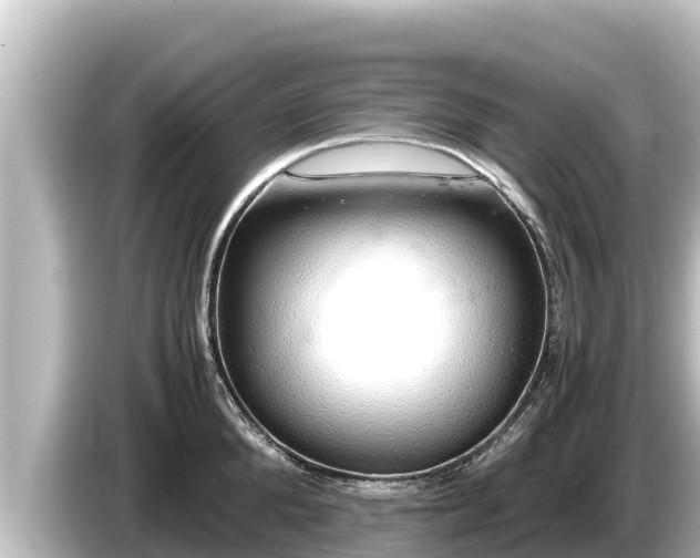 X0000085310904200703161450