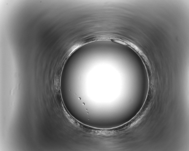 X0000085310905200703161450