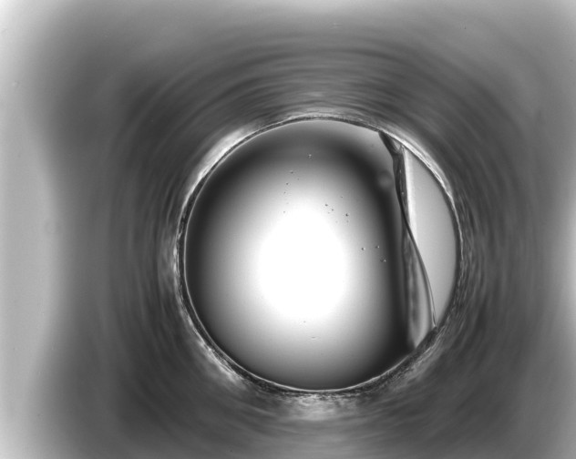 X0000085310906200703161450
