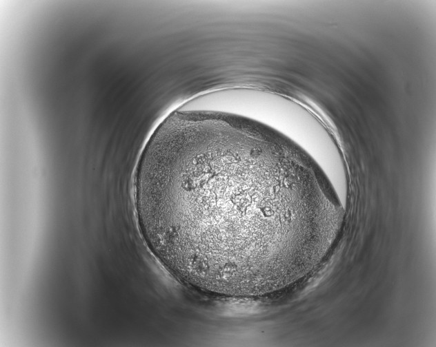X0000085310907200703161450