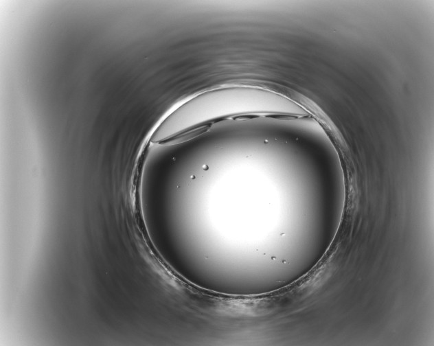 X0000085310908200703161449