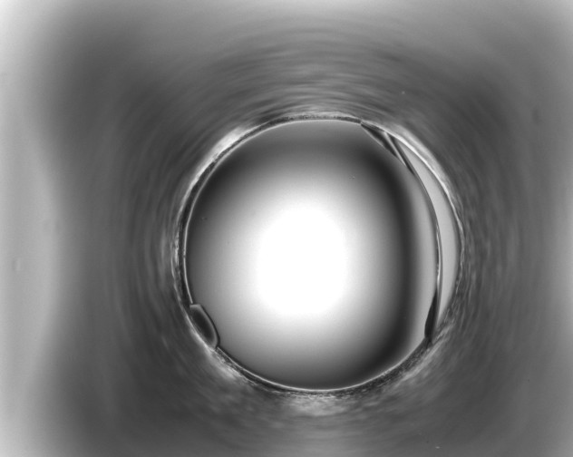 X0000085310909200703161449