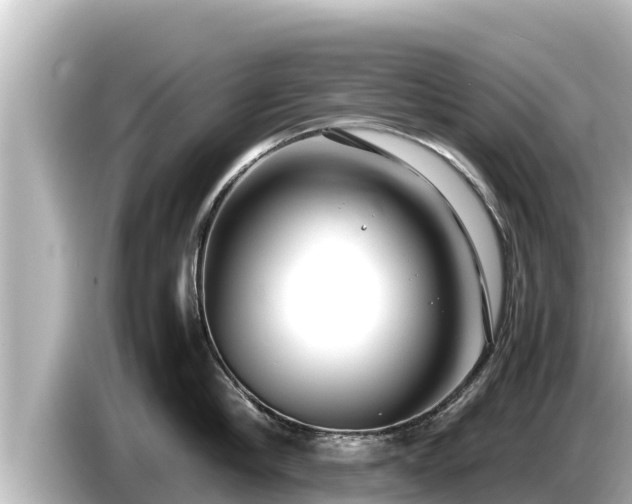 X0000085310910200703161449