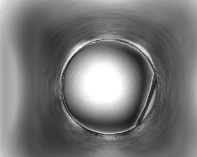 X0000085310911200703161449