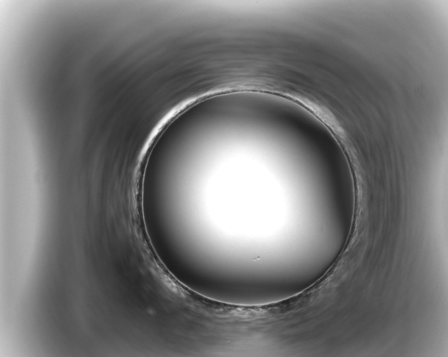 X0000085310912200703161449