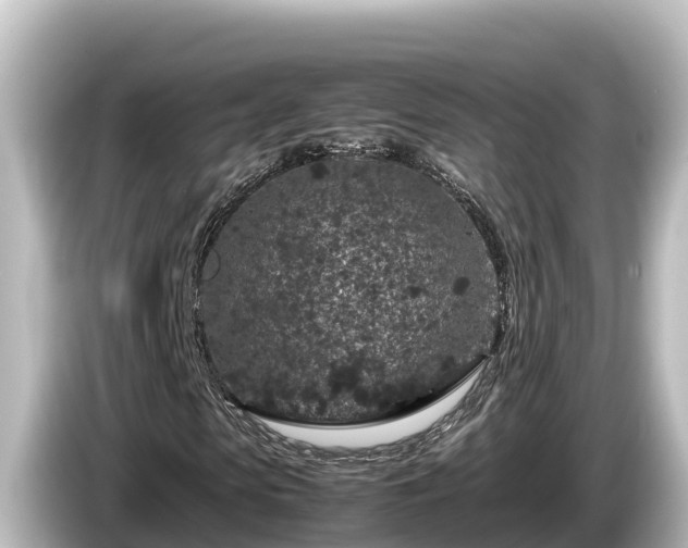 X0000085310913200703161449